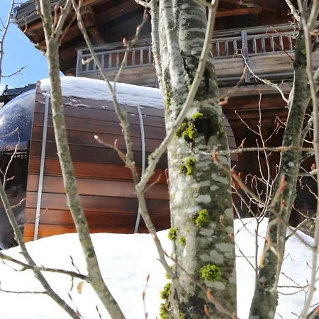 Les 3 Cimes Blanches Chalet